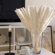 Bouquet dos Pampas - 80 ramos