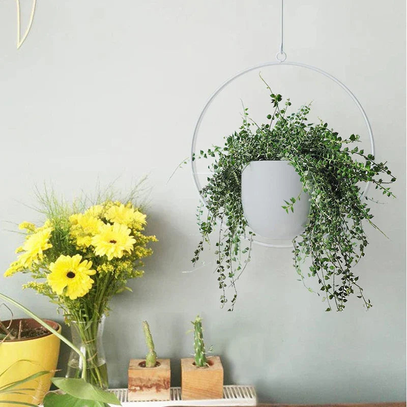 Vasos Suspensos Jungle Colors - em metal