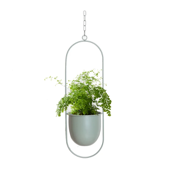 Vasos Suspensos Jungle Colors - em metal